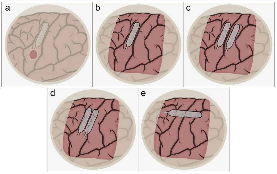 图片3.png 图片3.png