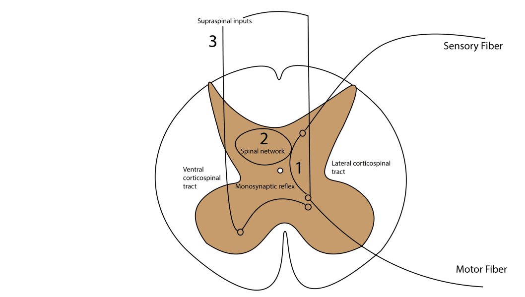 图片1.png 图片1.png