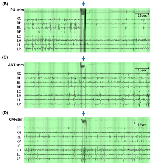 图片5.png 图片5.png